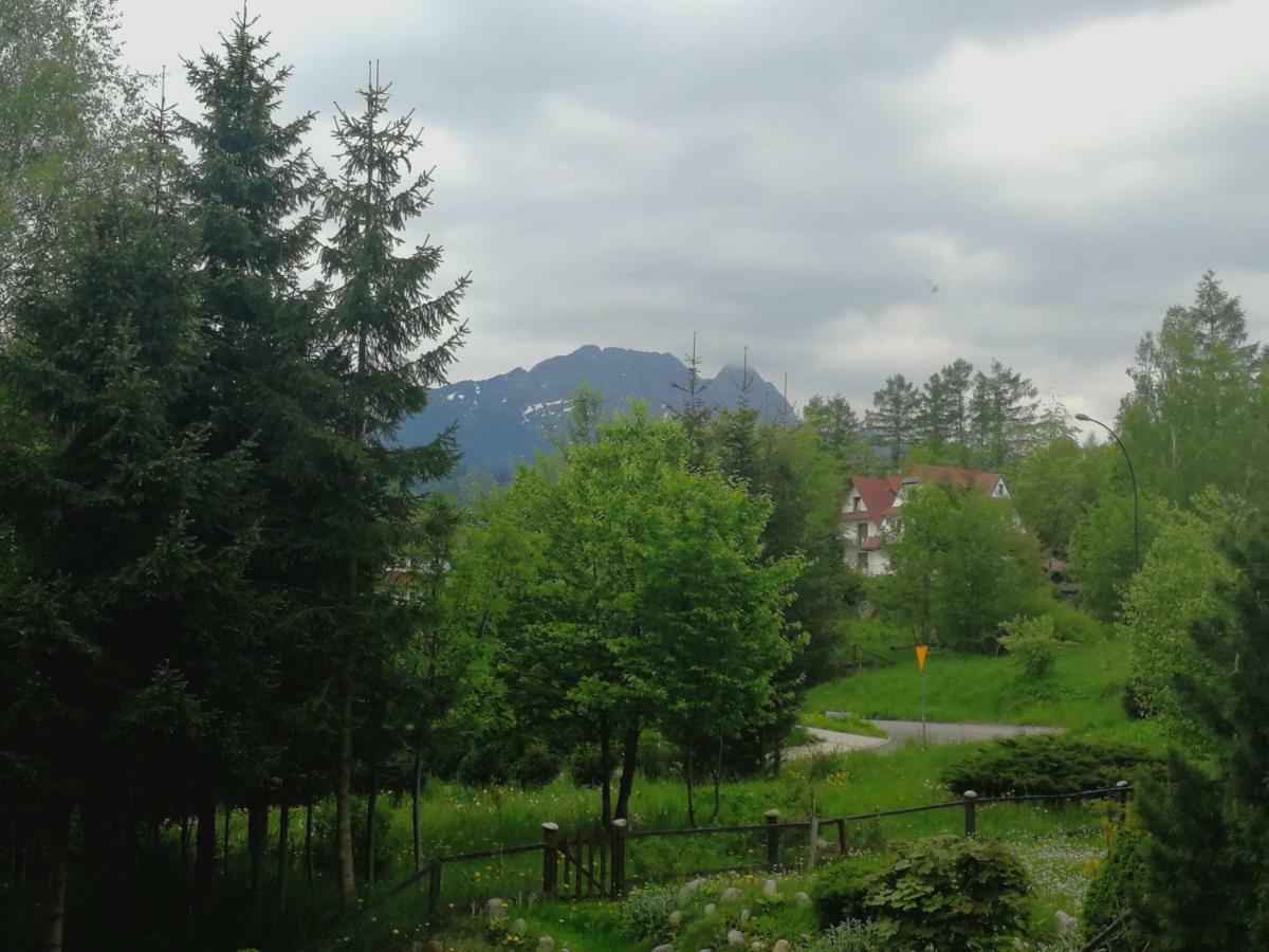 Dwupoziomowy Pardalowka * Zakopane
